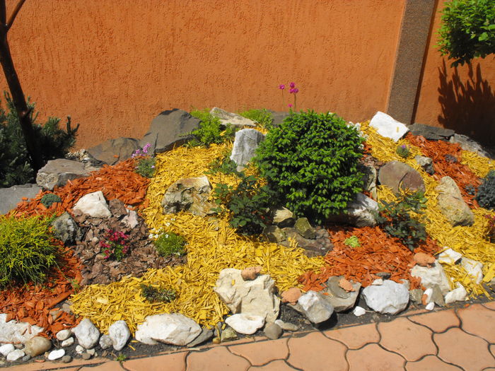 stancaria 2010