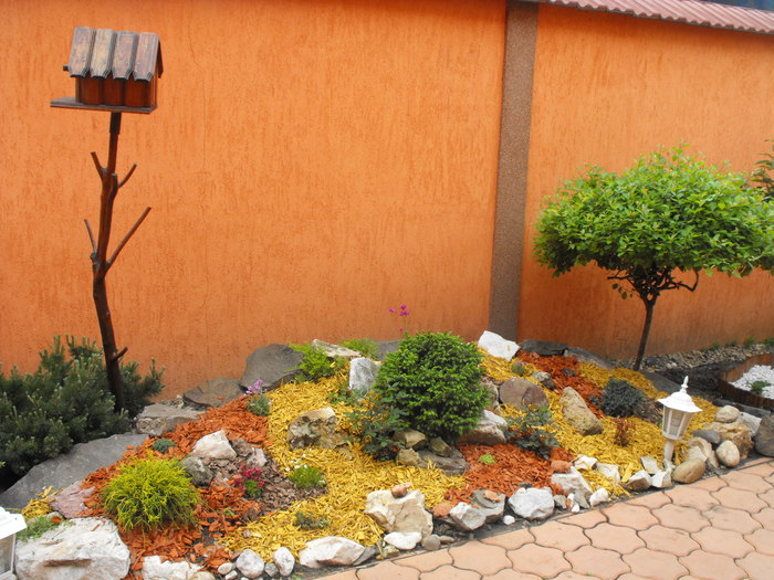 casuta de pasarele 2010