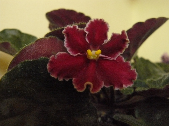 P1100631