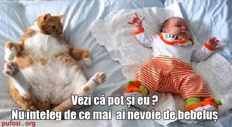 poze-amuzante-pisica-vrea-sa-scape-de-bebelus - Poze amuzante