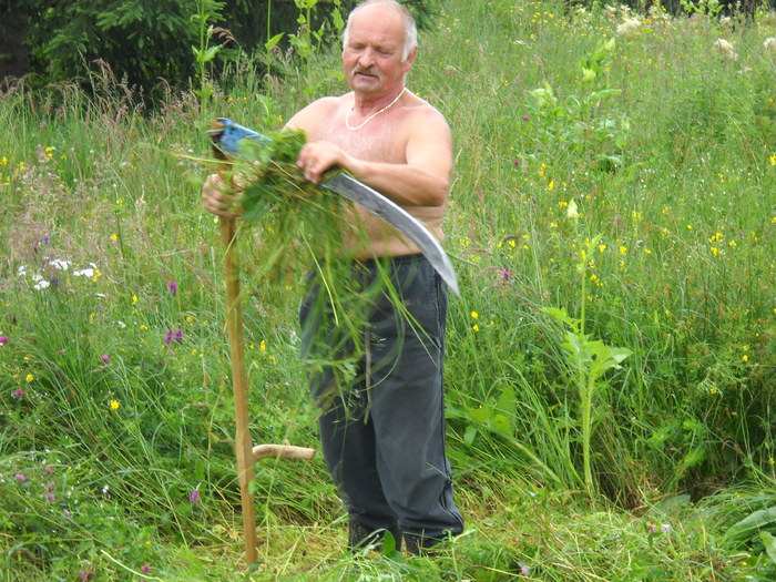 stergand transpiratia - clubul bistritean si altele