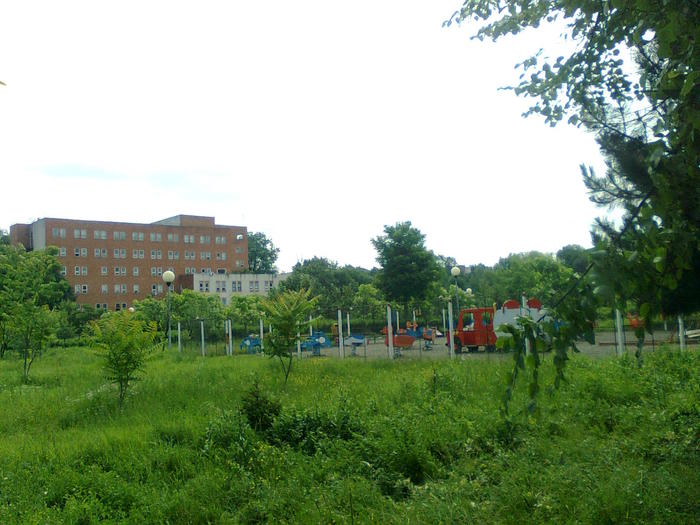 Imagine1734 - Dorohoi - iunie 2010