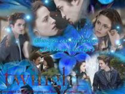 6 - PoZe Cu TwIlIgHt 1