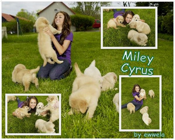 0026497051 - 0-0-0_Toate pozele mele cu Miley Cyrus_0-0-0