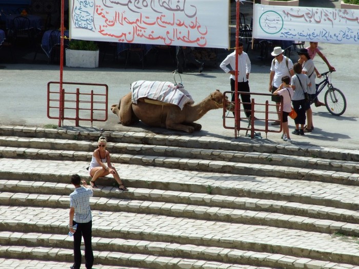 el mouradi sahara 164