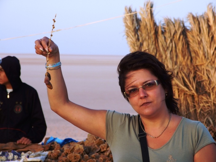 el mouradi sahara 478 - 2010 06 Tunisia desert cu sare