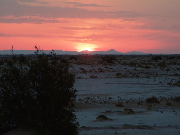 el mouradi sahara 436 - 2010 06 Tunisia desert cu sare