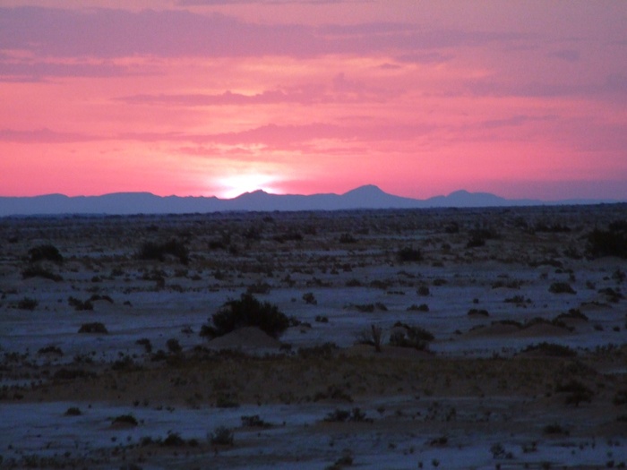 el mouradi sahara 434 - 2010 06 Tunisia desert cu sare