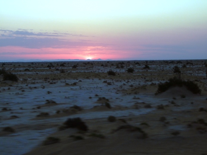 el mouradi sahara 432 - 2010 06 Tunisia desert cu sare