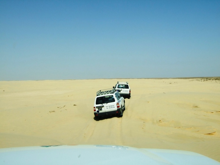 el mouradi sahara 652 - 2010 06 Tunisia OFF Road Toyota