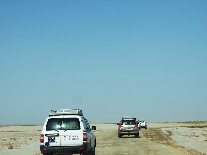 el mouradi sahara 611