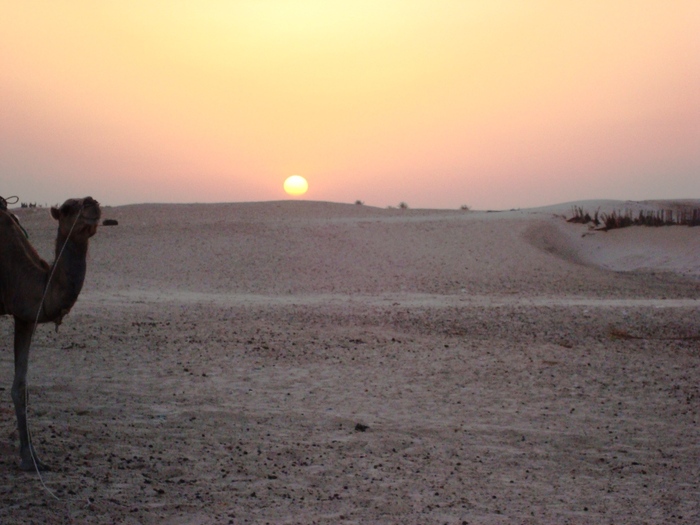 el mouradi sahara 1240 - 2010 06 Tunisia ATV si Camilarit