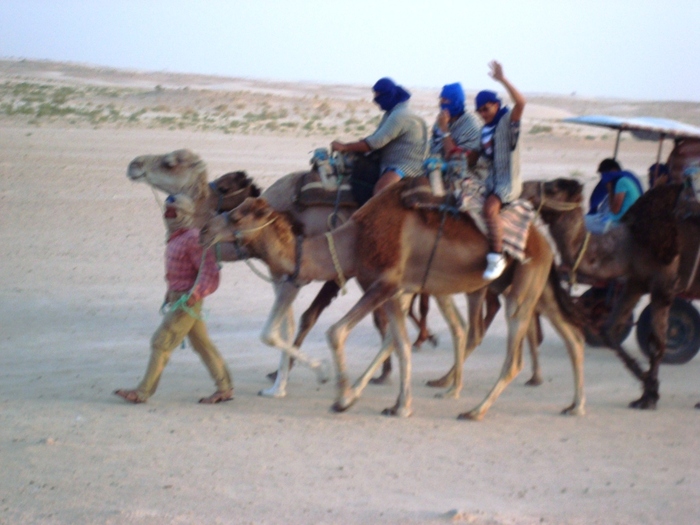 el mouradi sahara 1230 - 2010 06 Tunisia ATV si Camilarit