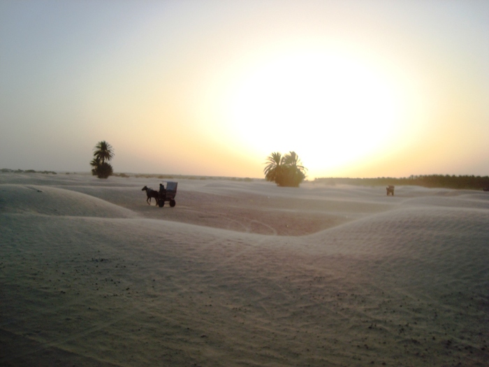 el mouradi sahara 1227 - 2010 06 Tunisia ATV si Camilarit