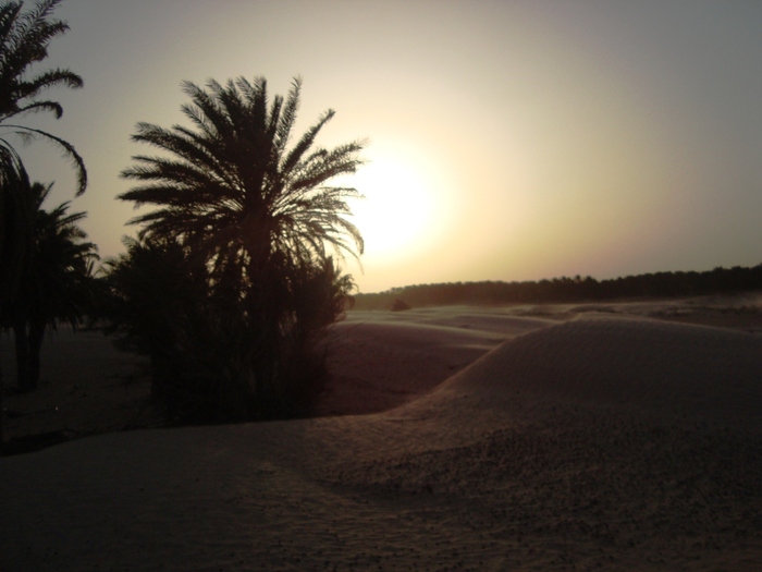 el mouradi sahara 1215 - 2010 06 Tunisia ATV si Camilarit