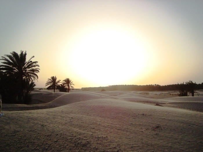 el mouradi sahara 1214 - 2010 06 Tunisia ATV si Camilarit