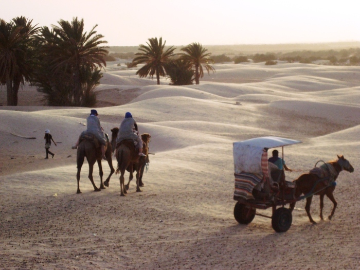 el mouradi sahara 1208 - 2010 06 Tunisia ATV si Camilarit