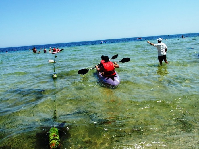 el mouradi z6 074 - 2010 06 Tunisia Ziua6 1
