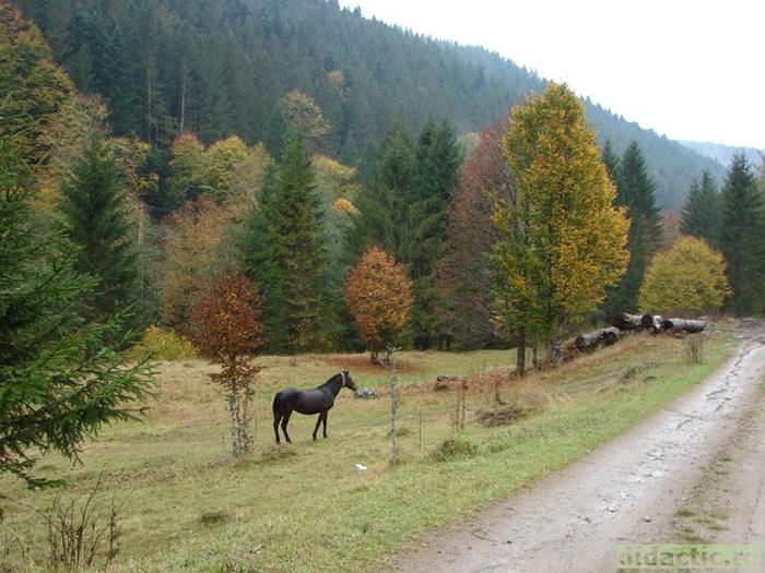 Toamna - peisaje superbe