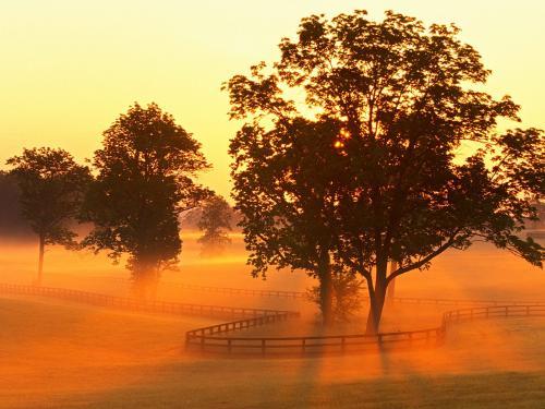 Peisaje Wallpapers Kentucky - peisaje superbe