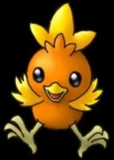 13390479_THPRIVXLR - pokemon