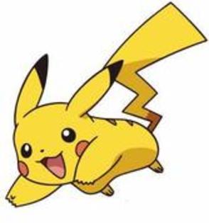 17427820_SHWTPDYAG - pichu picaciu si raichu