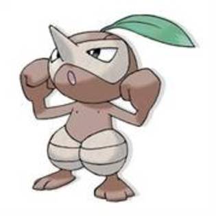 GCQNFZGHZVWUCKMXTQU - pokemon