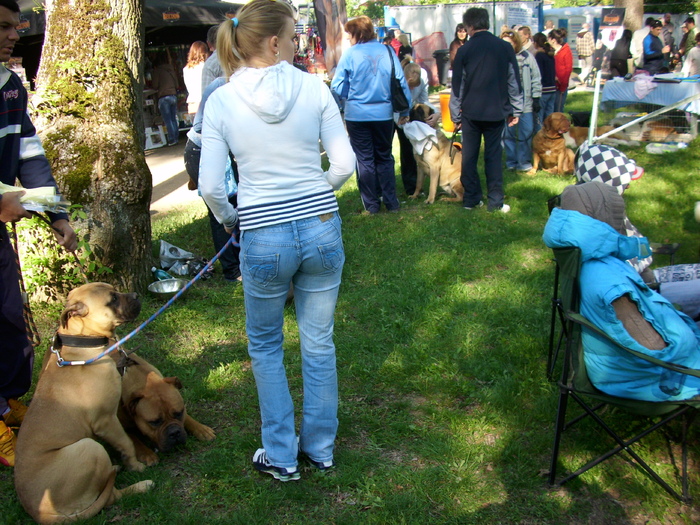 IMG_1456 - Expo Canina Timisoara 05-06 sept 2009