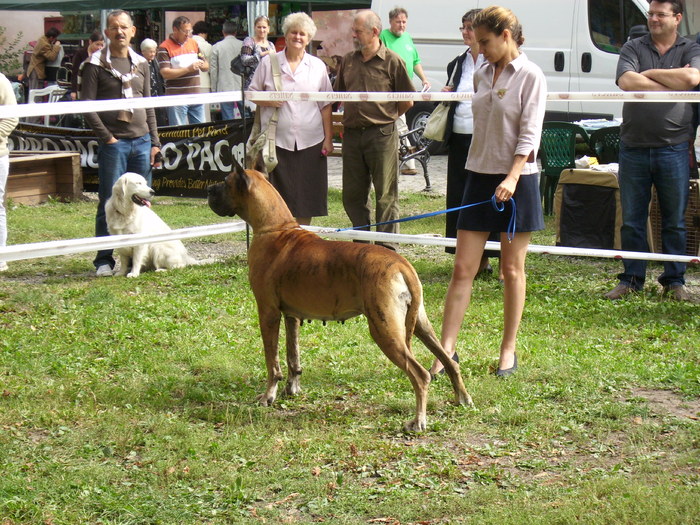 IMG_3068 - Expo Canina TG Mures 05-06 sep 2009