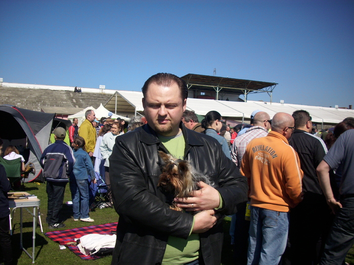 yorkshire terrier - Expo Canina Satu Mare 18 apr 2010