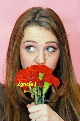 normal_photoshoot18_038