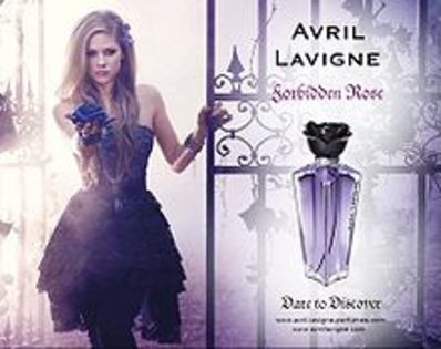 220px-Avril_lavigne_forbidden_rose_poster - Avril Lavigne