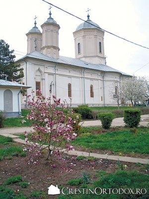 36_Pasarea1 - manastiri