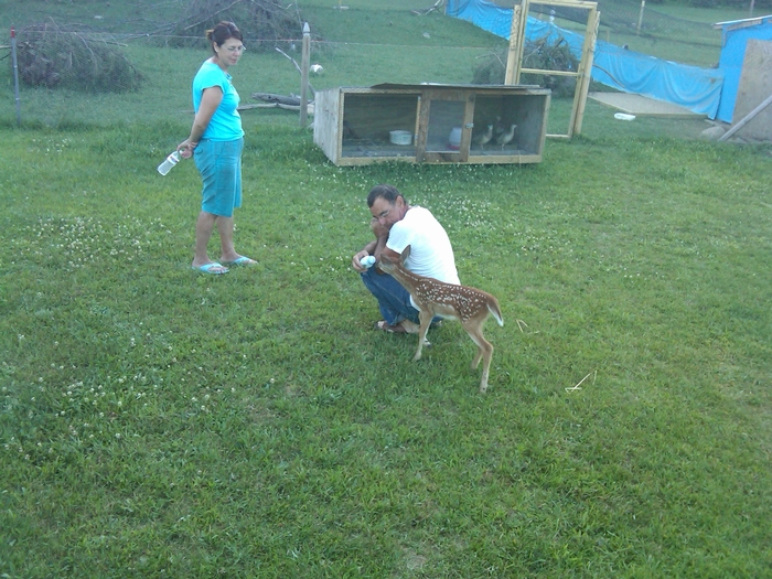 domna-costel si bamby la ferma