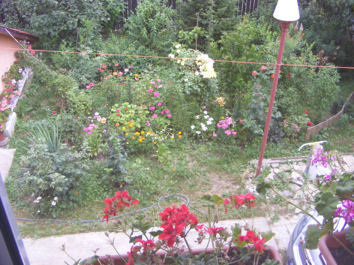Gradinita de flori - Flori si alte chestii 2010