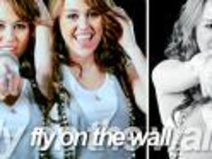 c (21) - Wallpapere Miley