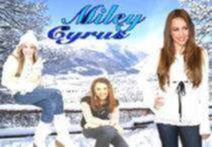 c (93) - Wallpapere Miley
