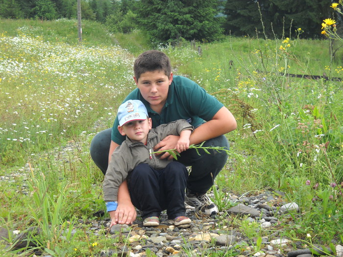 La Colibita cu "treburi"