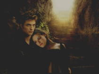 17 - Poze Twilight