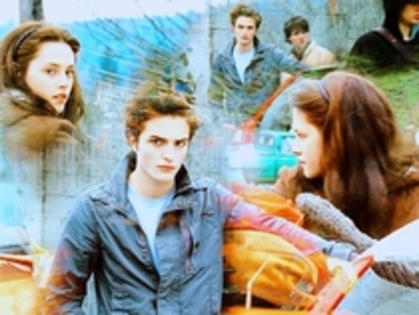 61 - Poze Twilight