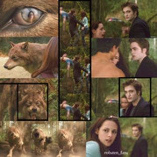 64 - Poze Twilight