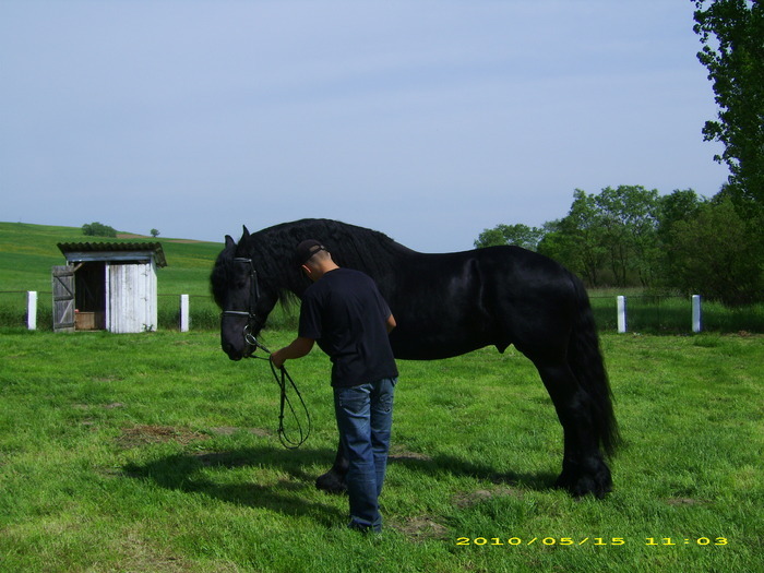 14986847_OURCZIVBR[2] - Targ Hodosa 15 Mai 2010 jud Mures