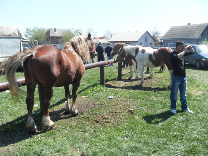 14399556_SSAVQSXAU[2]