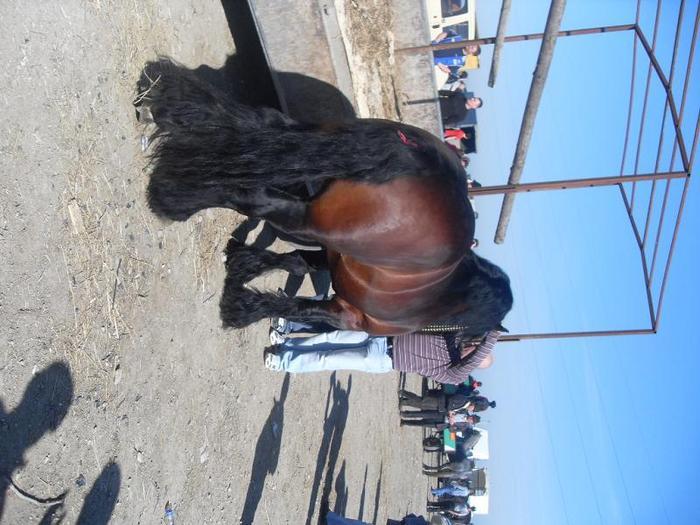 14399583_LKBITSQIH[2] - Targ Radauti 1 Mai 2010 jud Suceava