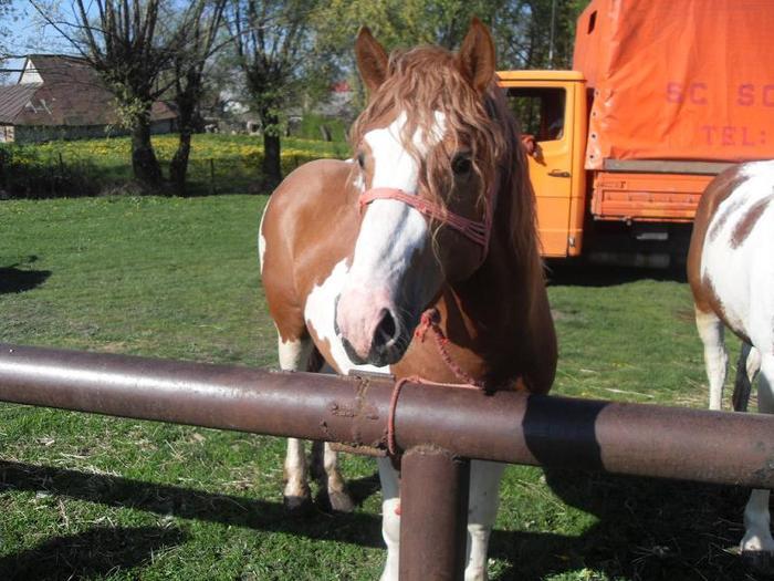 14399599_NNEEPGWNT[1]