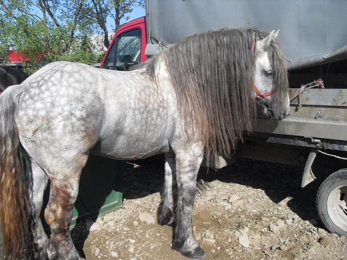 14399601_FYWBGTHBM[1]