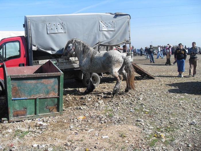 14399603_LTSLHUNUR[1]