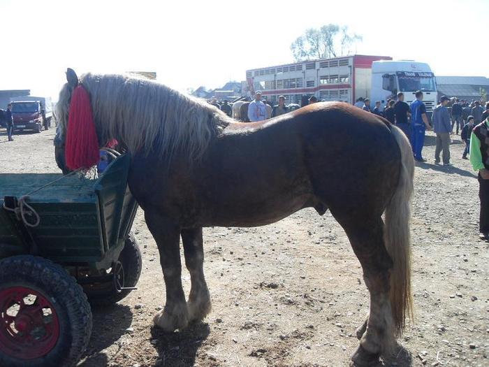 14399611_VFFAFULGV[2]