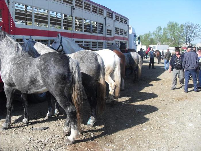 14399617_NCSESJGYE[2]