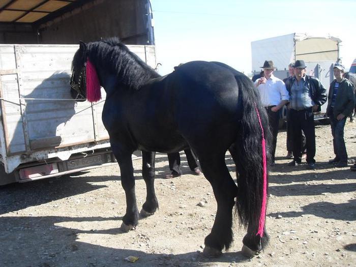 14399625_IXXVKAUJR[1]